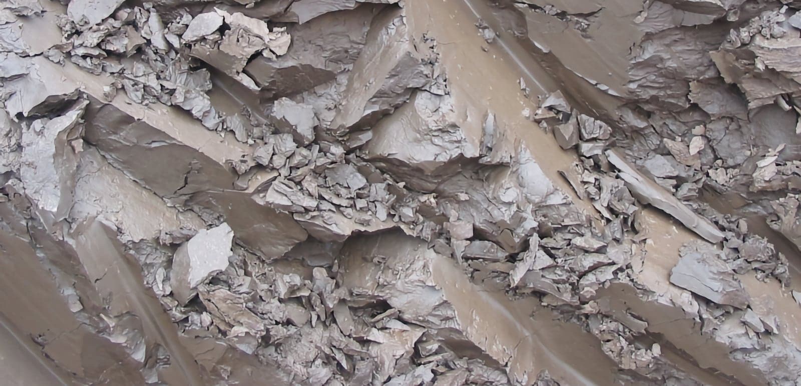 A Quaternary clay deposit in Estonia, laid down about 400,000 years ago